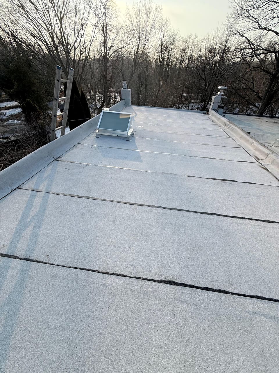 A silver coated flat roof with trees behind